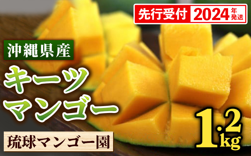 【先行受付】【2024年発送】琉球マンゴー園の幻のマンゴー！キーツマンゴー約1.2kg