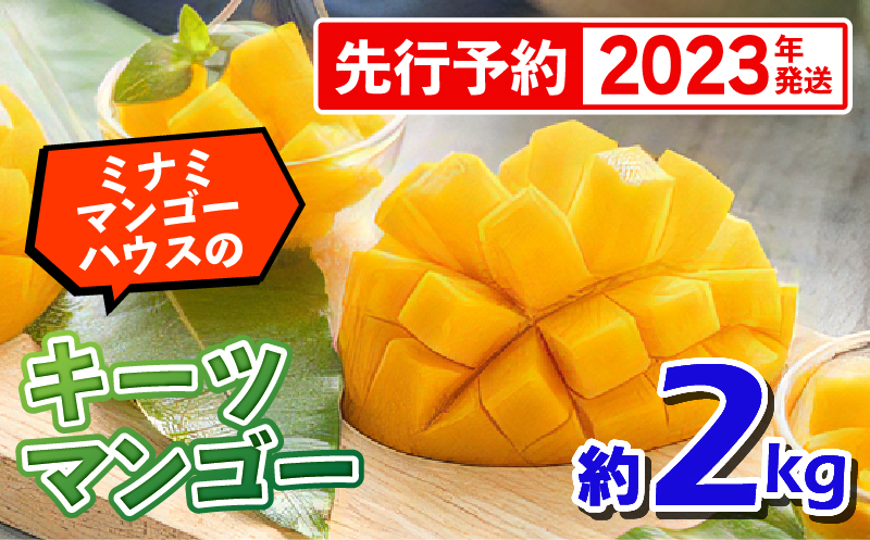 2023年発送】ミナミマンゴーハウスのキーツマンゴー約2kg｜ふるラボ